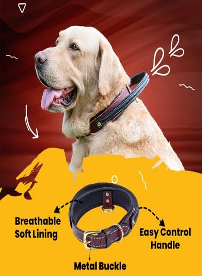 ADIL's Multicolor Handle Dog Collar For Medium & Large Dogs, Adjustable Heavy Duty Leather Dog Collar With Strong Metal D-Ring, Neck Size : Xl, Marron,15 cm,W_3.9 cm - Image 3